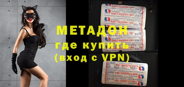 стаф Алзамай
