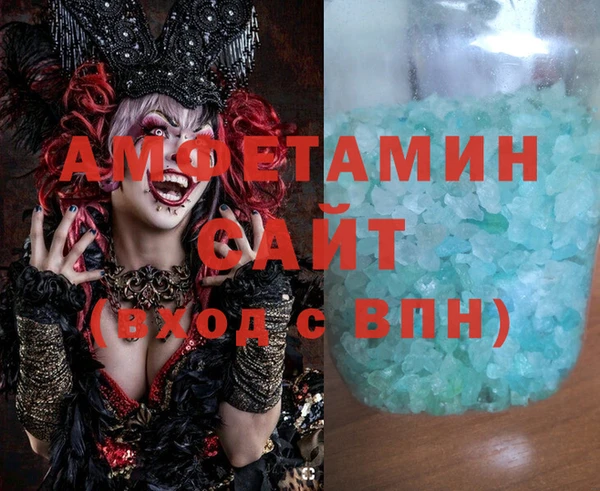 стаф Алзамай