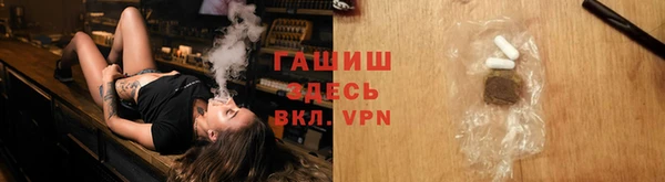 стаф Алзамай