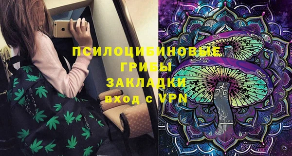 стаф Алзамай