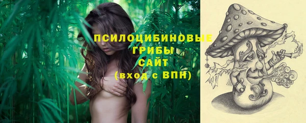 стаф Алзамай