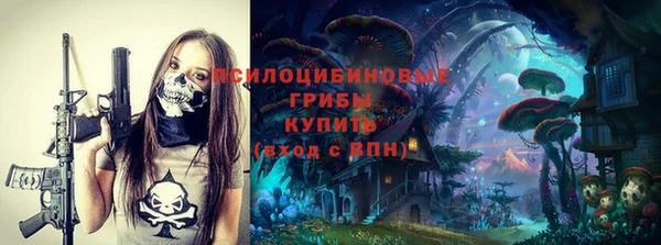 стаф Алзамай