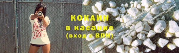 стаф Алзамай